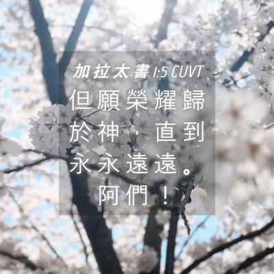 Picture 04 - 加 拉 太 書 1:5 CUVT - 但 願 榮 耀 歸 於 神 ， 直 到 永 永 - Bible Verse Picture