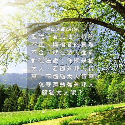 Picture 04 - 加 拉 太 書 2:14 CUVT - 但 我 一 看 見 他 們 行 的 不 正 ， - Bible Verse Picture