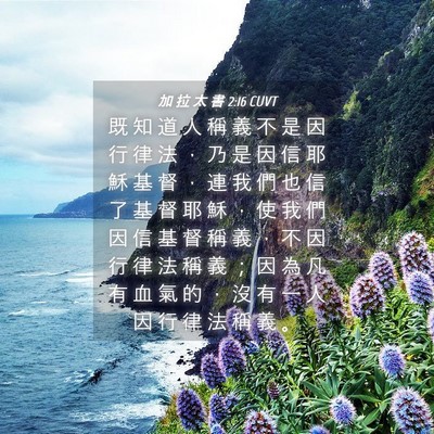 Picture 04 - 加 拉 太 書 2:16 CUVT - 既 知 道 人 稱 義 不 是 因 行 律 法 - Bible Verse Picture