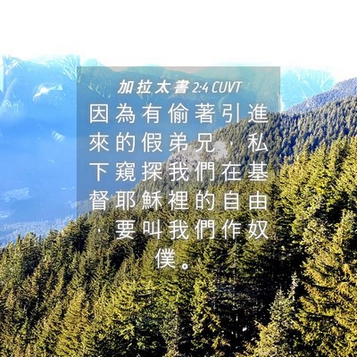 Picture 04 - 加 拉 太 書 2:4 CUVT - 因 為 有 偷 著 引 進 來 的 假 弟 兄 - Bible Verse Picture