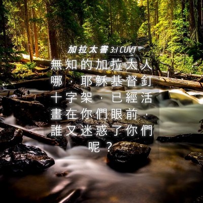 Picture 04 - 加 拉 太 書 3:1 CUVT - 無 知 的 加 拉 太 人 哪 ， 耶 穌 基 - Bible Verse Picture