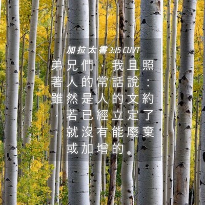 Picture 04 - 加 拉 太 書 3:15 CUVT - 弟 兄 們 ， 我 且 照 著 人 的 常 話 - Bible Verse Picture