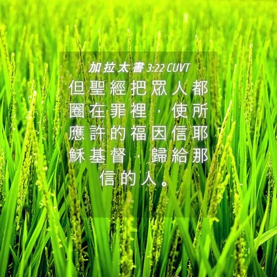 Picture 04 - 加 拉 太 書 3:22 CUVT - 但 聖 經 把 眾 人 都 圈 在 罪 裡 ， - Bible Verse Picture