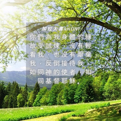 Picture 04 - 加 拉 太 書 4:14 CUVT - 你 們 為 我 身 體 的 緣 故 受 試 煉 - Bible Verse Picture