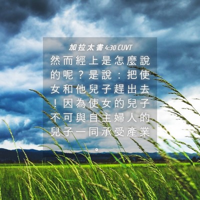 Picture 04 - 加 拉 太 書 4:30 CUVT - 然 而 經 上 是 怎 麼 說 的 呢 ？ 是 - Bible Verse Picture