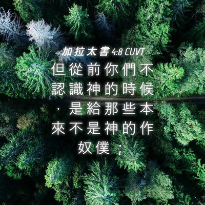 Picture 04 - 加 拉 太 書 4:8 CUVT - 但 從 前 你 們 不 認 識 神 的 時 候 - Bible Verse Picture