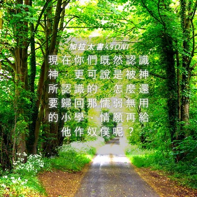 Picture 04 - 加 拉 太 書 4:9 CUVT - 現 在 你 們 既 然 認 識 神 ， 更 可 - Bible Verse Picture