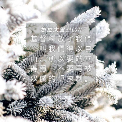 Picture 04 - 加 拉 太 書 5:1 CUVT - 基 督 釋 放 了 我 們 ， 叫 我 們 得 - Bible Verse Picture