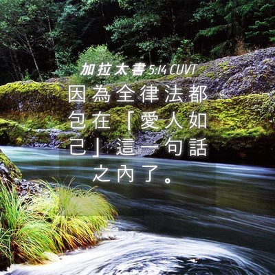 Picture 04 - 加 拉 太 書 5:14 CUVT - 因 為 全 律 法 都 包 在 「 愛 人 如 - Bible Verse Picture