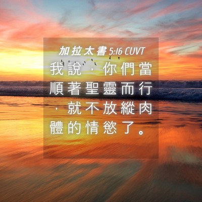Picture 04 - 加 拉 太 書 5:16 CUVT - 我 說 ， 你 們 當 順 著 聖 靈 而 行 - Bible Verse Picture