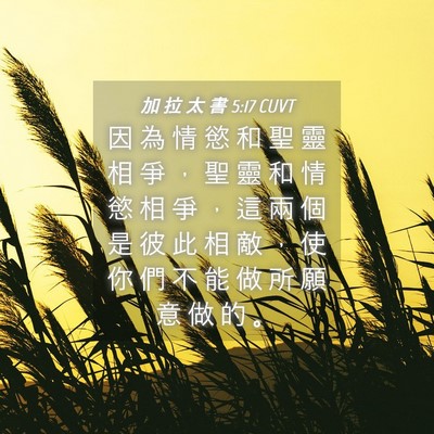 Picture 04 - 加 拉 太 書 5:17 CUVT - 因 為 情 慾 和 聖 靈 相 爭 ， 聖 靈 - Bible Verse Picture