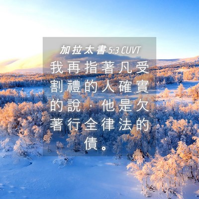Picture 04 - 加 拉 太 書 5:3 CUVT - 我 再 指 著 凡 受 割 禮 的 人 確 實 - Bible Verse Picture