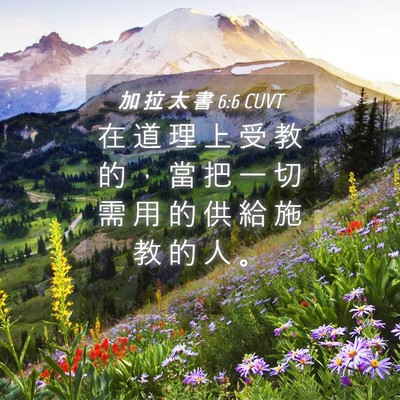 Picture 04 - 加 拉 太 書 6:6 CUVT - 在 道 理 上 受 教 的 ， 當 把 一 切 - Bible Verse Picture