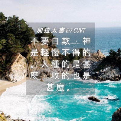 Picture 04 - 加 拉 太 書 6:7 CUVT - 不 要 自 欺 ， 神 是 輕 慢 不 得 的 - Bible Verse Picture