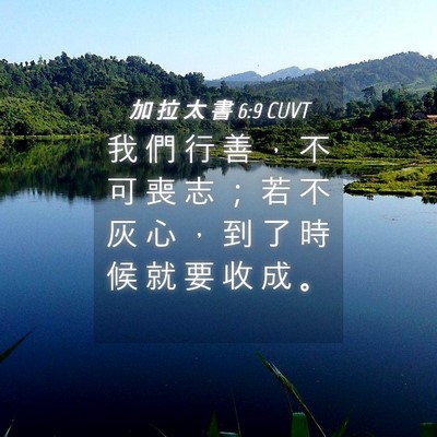 Picture 04 - 加 拉 太 書 6:9 CUVT - 我 們 行 善 ， 不 可 喪 志 ； 若 不 - Bible Verse Picture
