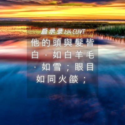 Picture 04 - 启 示 录 1:14 CUVT - 他 的 頭 與 髮 皆 白 ， 如 白 羊 毛 - Bible Verse Picture