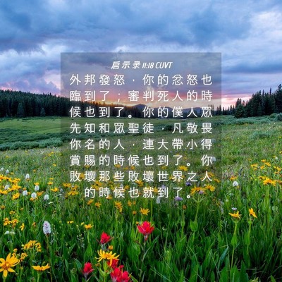 Picture 04 - 启 示 录 11:18 CUVT - 外 邦 發 怒 ， 你 的 忿 怒 也 臨 到 - Bible Verse Picture