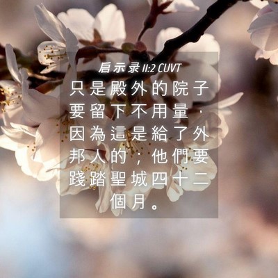 Picture 04 - 启 示 录 11:2 CUVT - 只 是 殿 外 的 院 子 要 留 下 不 用 - Bible Verse Picture