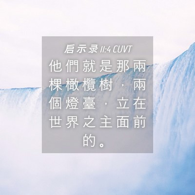 Picture 04 - 启 示 录 11:4 CUVT - 他 們 就 是 那 兩 棵 橄 欖 樹 ， 兩 - Bible Verse Picture