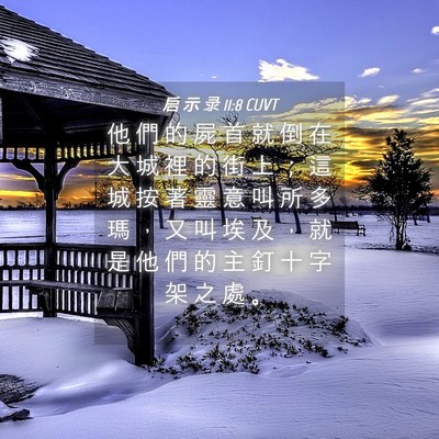 Picture 04 - 启 示 录 11:8 CUVT - 他 們 的 屍 首 就 倒 在 大 城 裡 的 - Bible Verse Picture