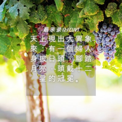 Picture 04 - 启 示 录 12:1 CUVT - 天 上 現 出 大 異 象 來 ： 有 一 個 - Bible Verse Picture