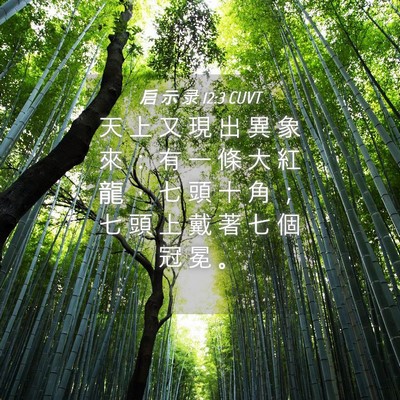 Picture 04 - 启 示 录 12:3 CUVT - 天 上 又 現 出 異 象 來 ： 有 一 條 - Bible Verse Picture