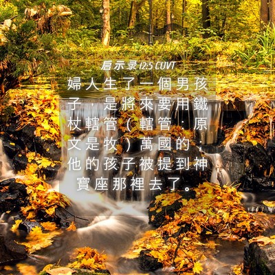 Picture 04 - 启 示 录 12:5 CUVT - 婦 人 生 了 一 個 男 孩 子 ， 是 將 - Bible Verse Picture