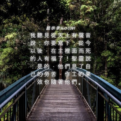 Picture 04 - 启 示 录 14:13 CUVT - 我 聽 見 從 天 上 有 聲 音 說 ： 你 - Bible Verse Picture