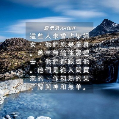 Picture 04 - 启 示 录 14:4 CUVT - 這 些 人 未 曾 沾 染 婦 女 ， 他 們 - Bible Verse Picture