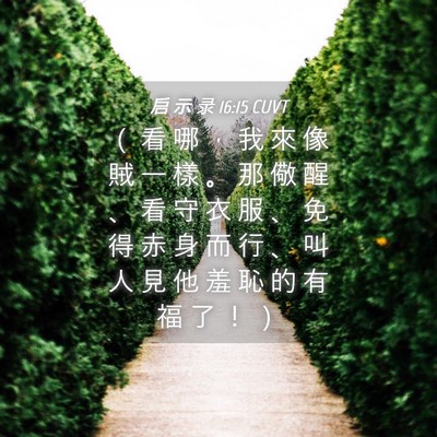 Picture 04 - 启 示 录 16:15 CUVT - （ 看 哪 ， 我 來 像 賊 一 樣 。 那 - Bible Verse Picture