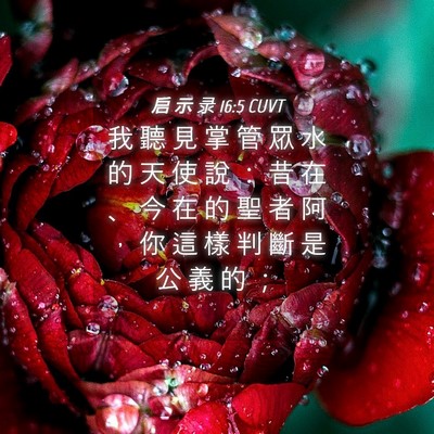 Picture 04 - 启 示 录 16:5 CUVT - 我 聽 見 掌 管 眾 水 的 天 使 說 ： - Bible Verse Picture