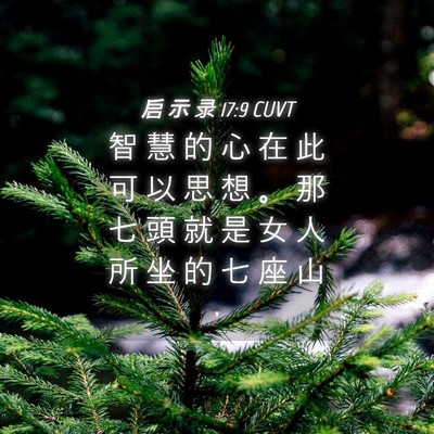 Picture 04 - 启 示 录 17:9 CUVT - 智 慧 的 心 在 此 可 以 思 想 。 那 - Bible Verse Picture