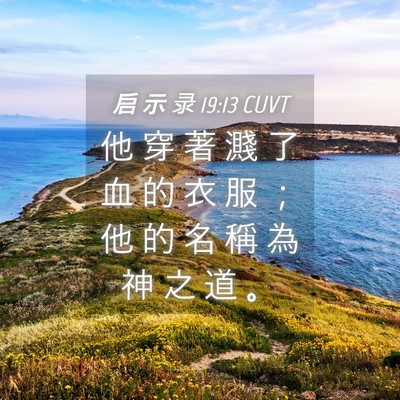 Picture 04 - 启 示 录 19:13 CUVT - 他 穿 著 濺 了 血 的 衣 服 ； 他 的 - Bible Verse Picture