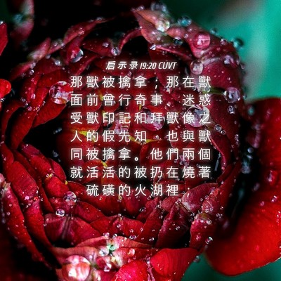 Picture 04 - 启 示 录 19:20 CUVT - 那 獸 被 擒 拿 ； 那 在 獸 面 前 曾 - Bible Verse Picture