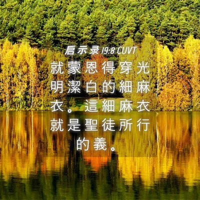 Picture 04 - 启 示 录 19:8 CUVT - 就 蒙 恩 得 穿 光 明 潔 白 的 細 麻 - Bible Verse Picture