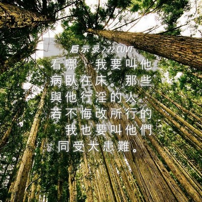 Picture 04 - 启 示 录 2:22 CUVT - 看 哪 ， 我 要 叫 他 病 臥 在 床 。 - Bible Verse Picture