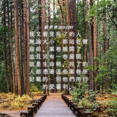 Picture 04 - 启 示 录 20:12 CUVT - 我 又 看 見 死 了 的 人 ， 無 論 大 - Bible Verse Picture