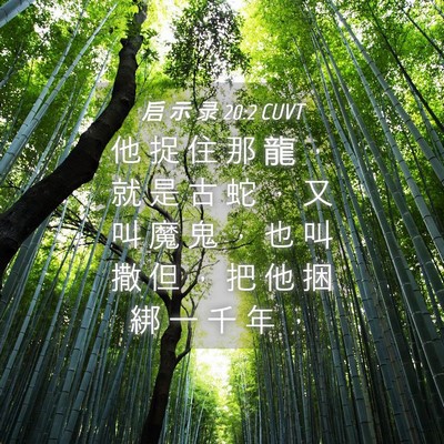 Picture 04 - 启 示 录 20:2 CUVT - 他 捉 住 那 龍 ， 就 是 古 蛇 ， 又 - Bible Verse Picture