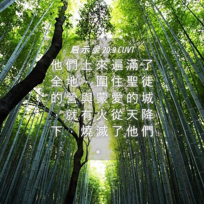 Picture 04 - 启 示 录 20:9 CUVT - 他 們 上 來 遍 滿 了 全 地 ， 圍 住 - Bible Verse Picture
