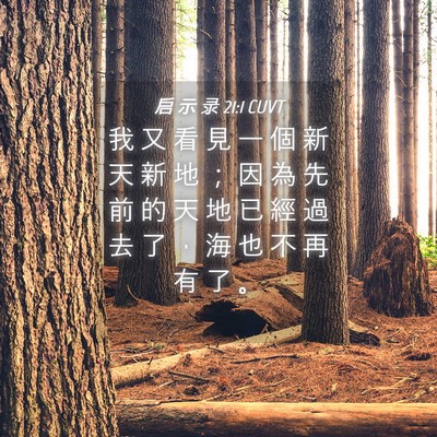 Picture 04 - 启 示 录 21:1 CUVT - 我 又 看 見 一 個 新 天 新 地 ； 因 - Bible Verse Picture