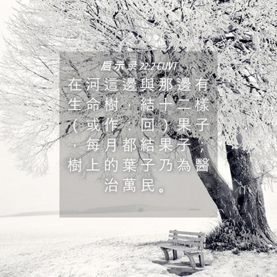 Picture 04 - 启 示 录 22:2 CUVT - 在 河 這 邊 與 那 邊 有 生 命 樹 ， - Bible Verse Picture