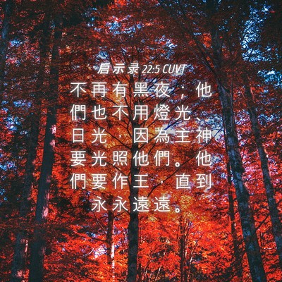 Picture 04 - 启 示 录 22:5 CUVT - 不 再 有 黑 夜 ； 他 們 也 不 用 燈 - Bible Verse Picture