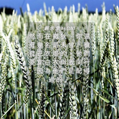Picture 04 - 启 示 录 3:4 CUVT - 然 而 在 撒 狄 ， 你 還 有 幾 名 是 - Bible Verse Picture