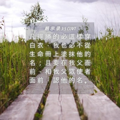 Picture 04 - 启 示 录 3:5 CUVT - 凡 得 勝 的 必 這 樣 穿 白 衣 ， 我 - Bible Verse Picture