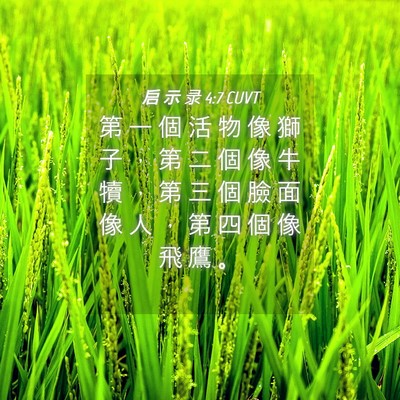 Picture 04 - 启 示 录 4:7 CUVT - 第 一 個 活 物 像 獅 子 ， 第 二 個 - Bible Verse Picture