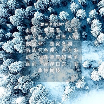 Picture 04 - 启 示 录 7:9 CUVT - 此 後 ， 我 觀 看 ， 見 有 許 多 的 - Bible Verse Picture