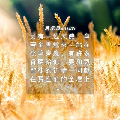 Picture 04 - 启 示 录 8:3 CUVT - 另 有 一 位 天 使 ， 拿 著 金 香 爐 - Bible Verse Picture