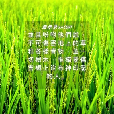 Picture 04 - 启 示 录 9:4 CUVT - 並 且 吩 咐 他 們 說 ， 不 可 傷 害 - Bible Verse Picture