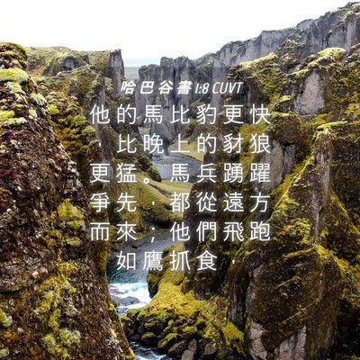 Picture 04 - 哈 巴 谷 書 1:8 CUVT - 他 的 馬 比 豹 更 快 ， 比 晚 上 的 - Bible Verse Picture