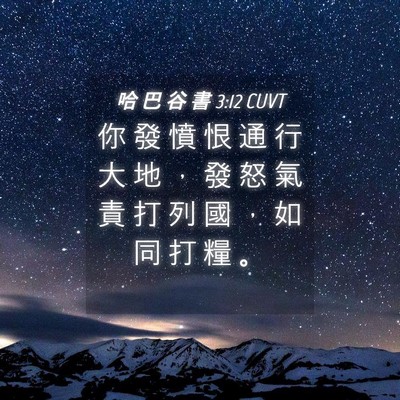 Picture 04 - 哈 巴 谷 書 3:12 CUVT - 你 發 憤 恨 通 行 大 地 ， 發 怒 氣 - Bible Verse Picture